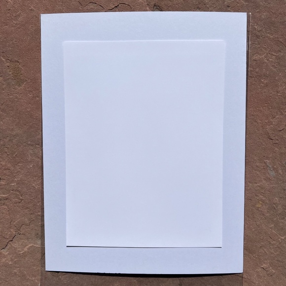 ART: Stand up for your rights! Skull Matted Art print by Gold Tooth; NWOT - Picture 4 of 4